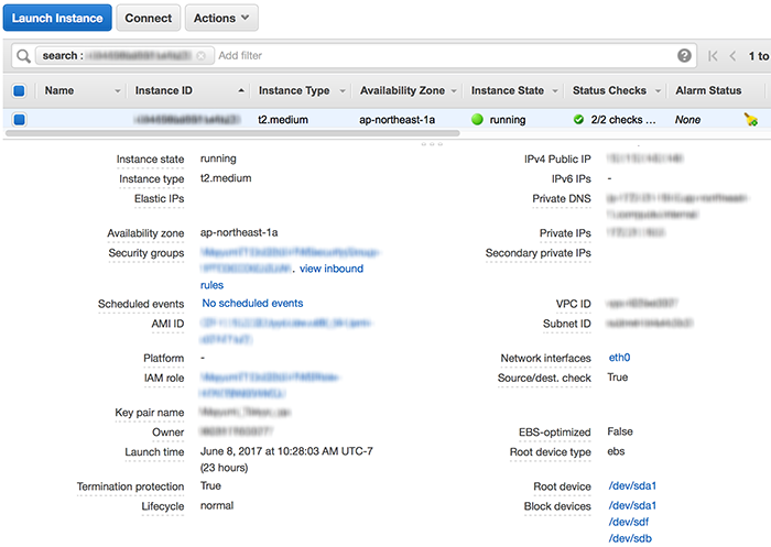 EC2 Instances page