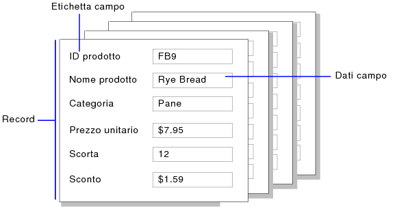 Esempio di record, dati dei campi ed etichette dei campi