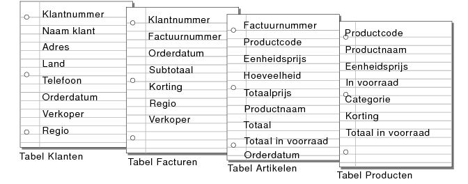 Velden in de tabellen Klanten, Facturen, Artikelen en Producten
