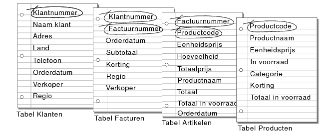 Vergelijkingsvelden in de tabellen Klanten, Facturen, Artikelen en Producten