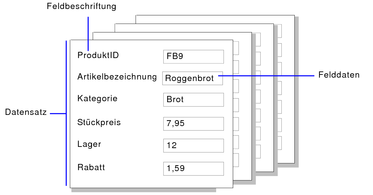 Beispiele für Datensätze, Felddaten und Feldbeschriftungen