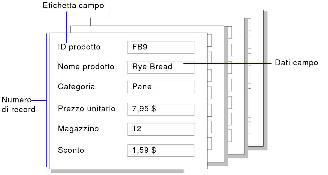 Esempio di record, dati dei campi ed etichette dei campi