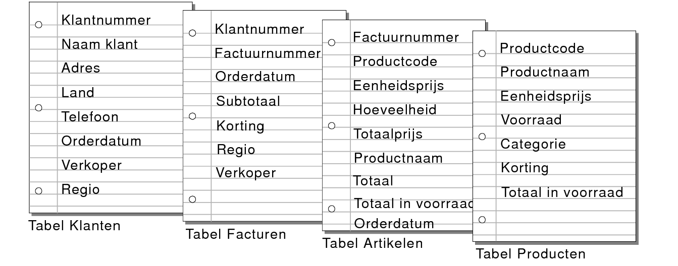 Velden in de tabellen Klanten, Facturen, Artikelen en Producten