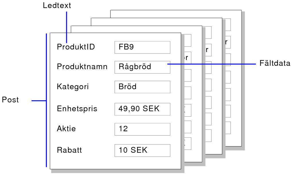 Exempel på poster, fältdata och ledtexter