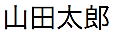 日本語テキスト文字列フィールド名