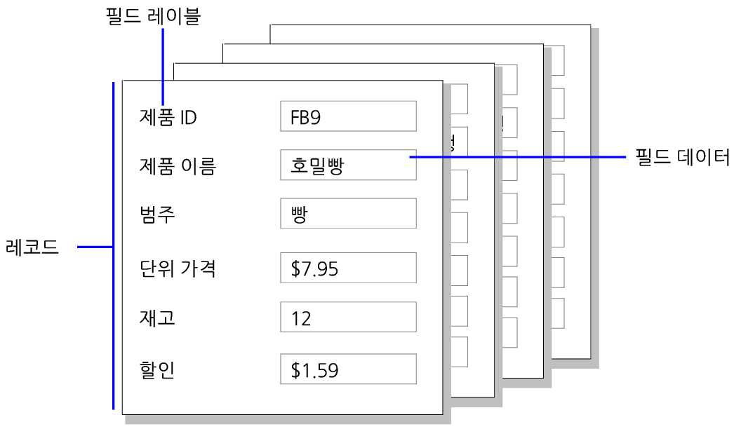 레코드와 필드 데이터와 필드 레이블의 예