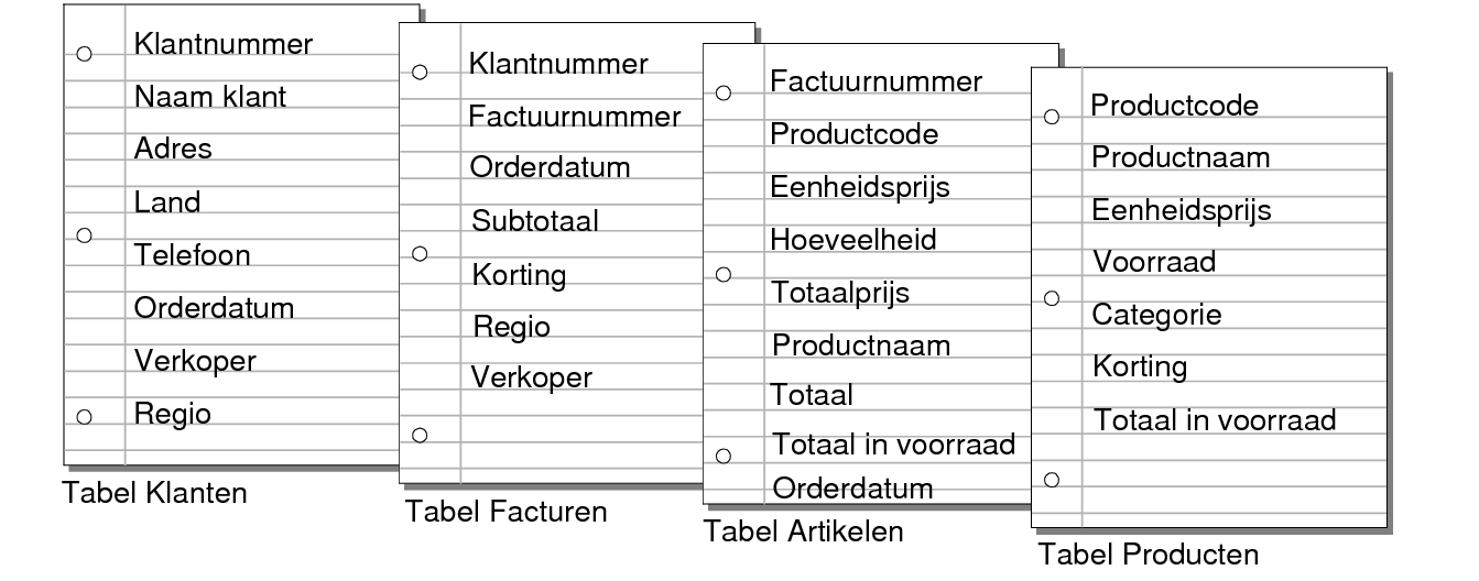 Velden in de tabellen Klanten, Facturen, Artikelen en Producten