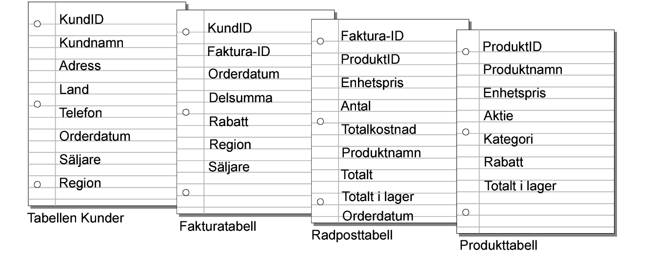 Fält i tabeller för kunder, fakturor, radposter och produkter