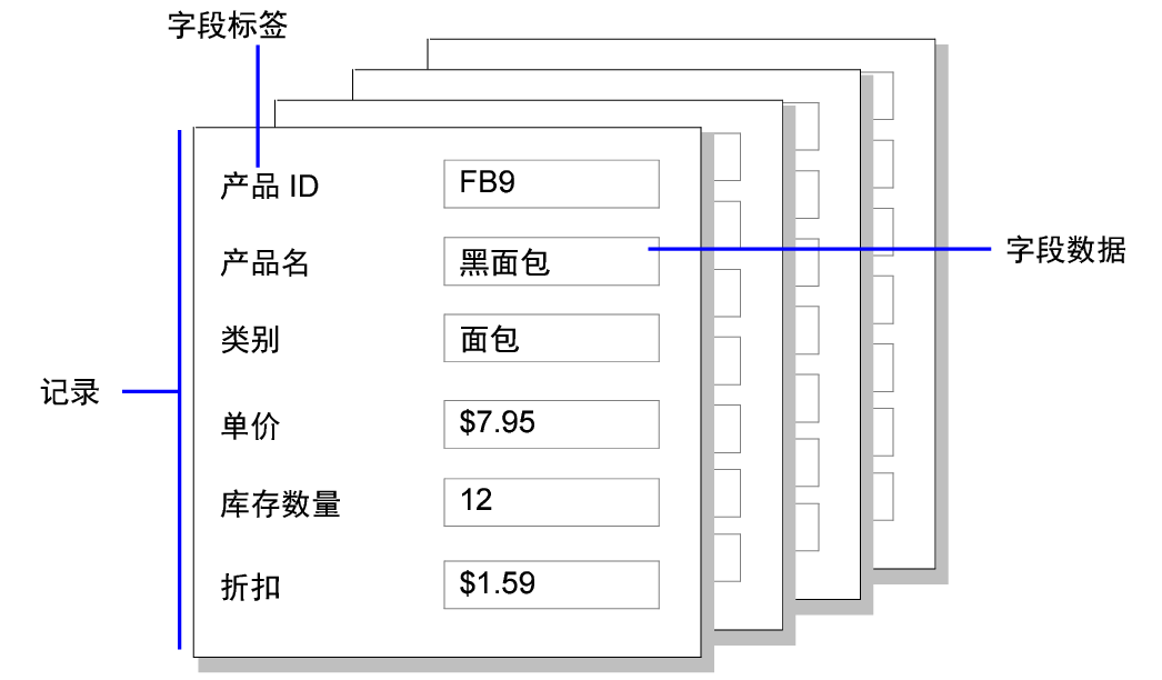 记录与字段数据与字段标签示例