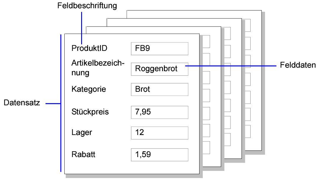 Beispiele für Datensätze, Felddaten und Feldbeschriftungen