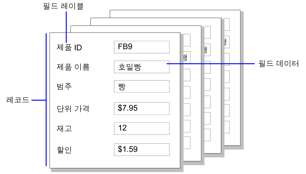 레코드와 필드 데이터와 필드 레이블의 예