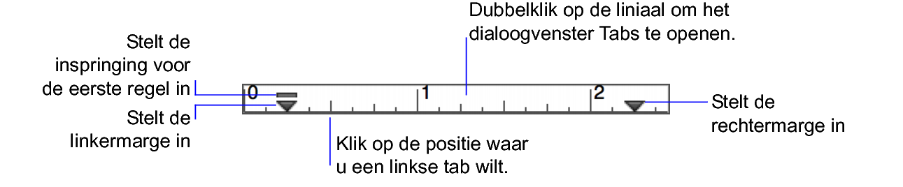 Uiterlijk