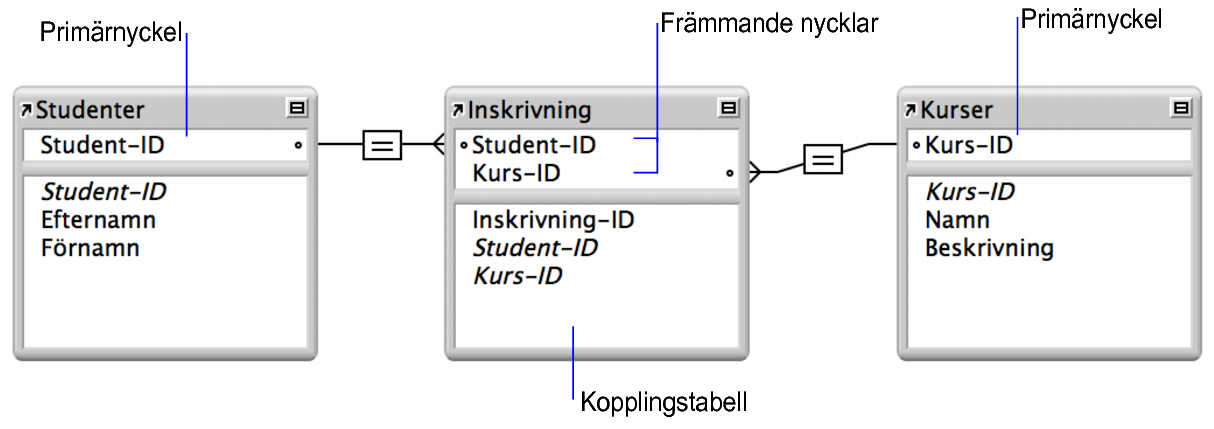 Knappen Färgpalett