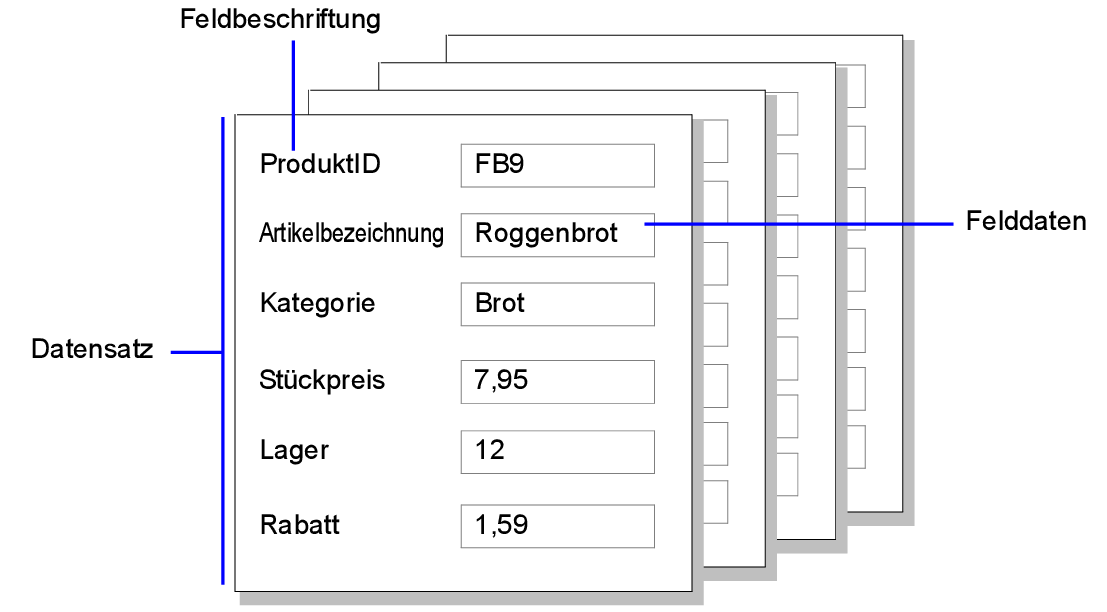 Beispiele für Datensätze, Felddaten und Feldbeschriftungen