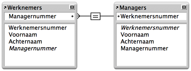 Twee vermeldingen van dezelfde tabel met een lijn tussen velden die een interne relatie aangeeft