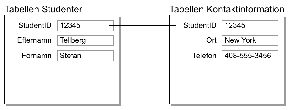 Poster i tabellerna Studenter och Kontaktinformation som visar resultatet av en relation av typen en-till-en